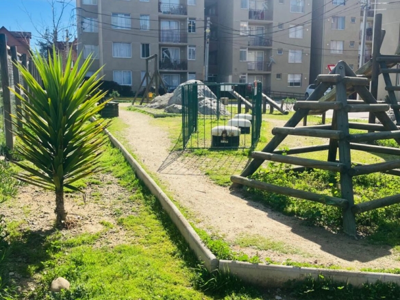 WhatsApp Image 2025 08 10 at 02.12.03 20