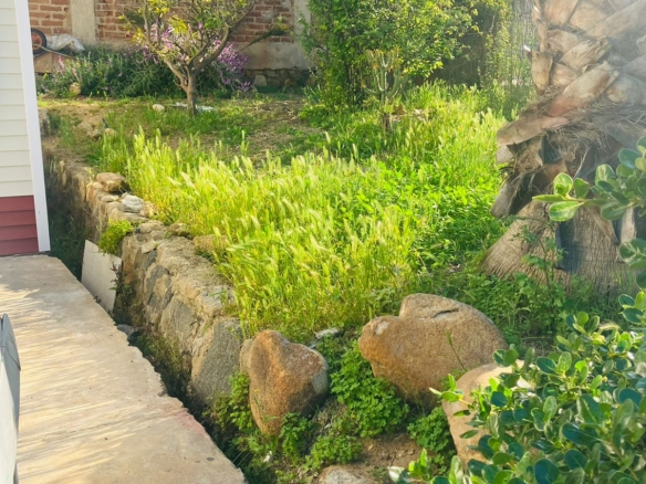 WhatsApp Image 2025 10 01 at 12.07.59 1