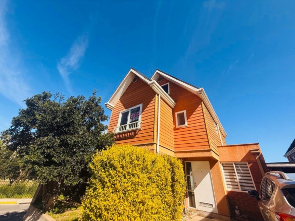 WhatsApp Image 2025 10 14 at 15.58.44 1