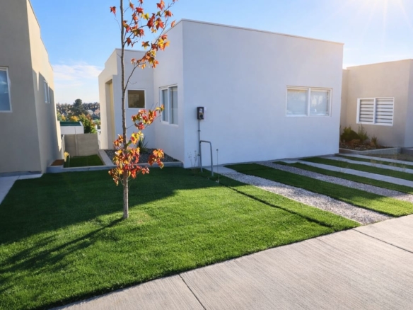 WhatsApp Image 2026 04 14 at 11.06.05 PM 2